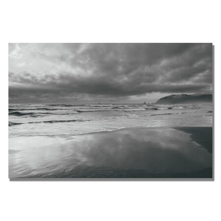 Trademark Fine Art Ariane Moshayedi 'Costal Reflections' Canvas Art, 16x24 AM0153-C1624GG